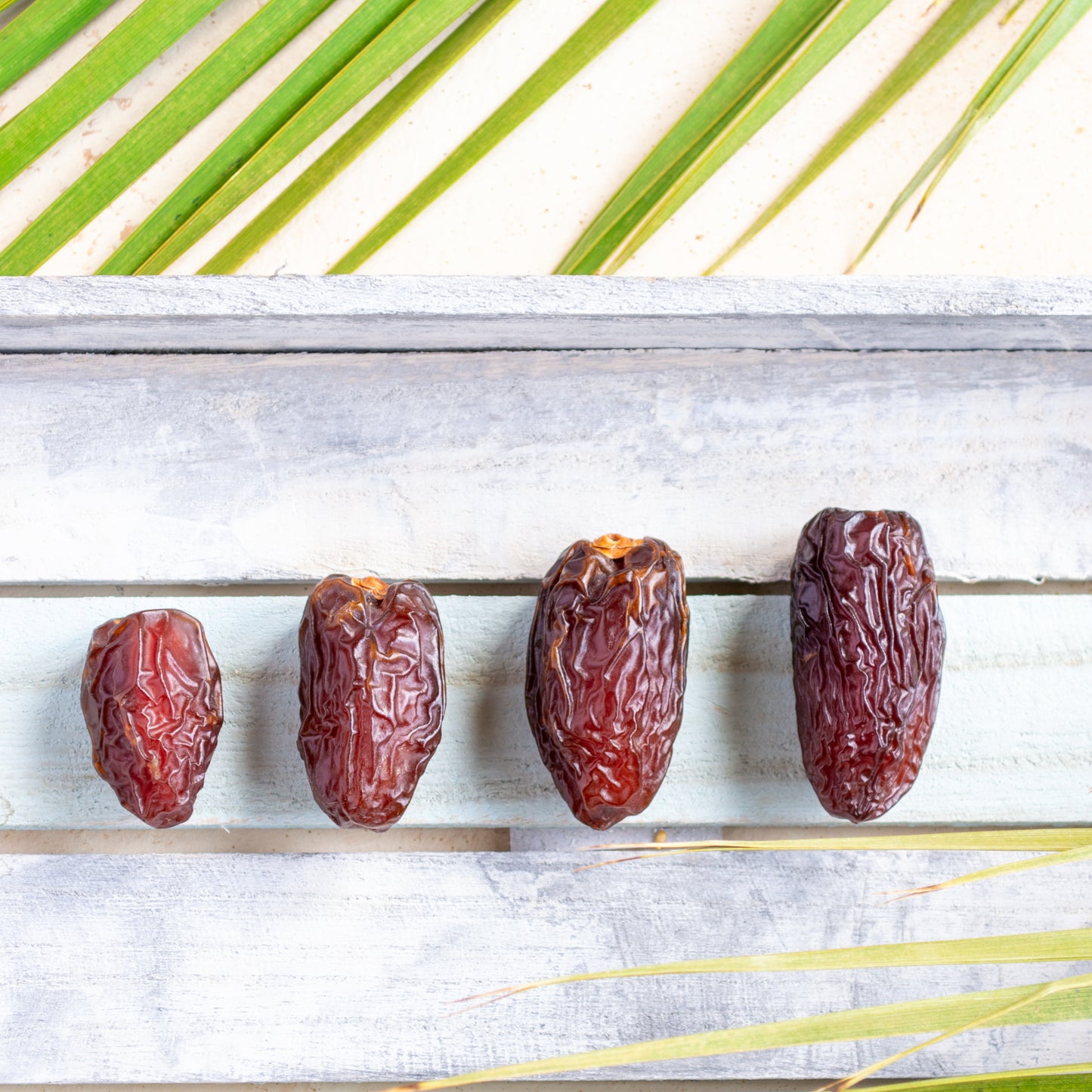 Large Medjool Dates
